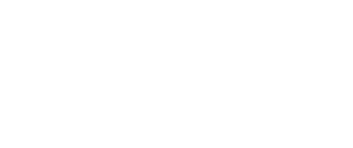 logo de website